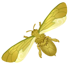 Golden Glory Bee