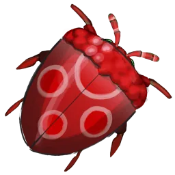 Raspberry Beetle