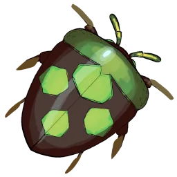 Spotted Stinkbug