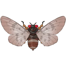 Common Bark Cicada