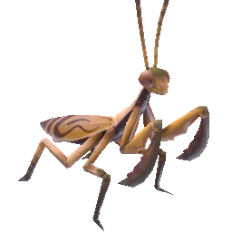 Amber Mantis