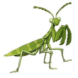 Garden Mantis