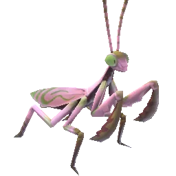 Heartdrop Mantis