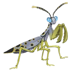 Spotted Mantis