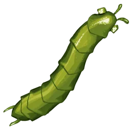 Garden Millipede