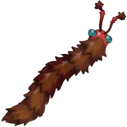 Hairy Millipede