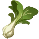Bok Choy