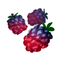 Boysenberries