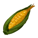 Corn
