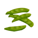 Green Beans