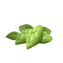 Hops