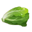 Lettuce