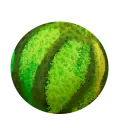 Melon