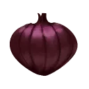 Onion