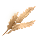 Wheat