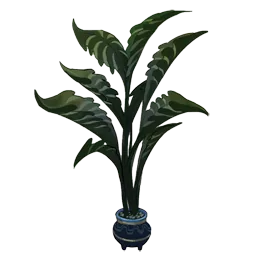 Dragontide Fern Planter
