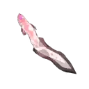Albino Eel