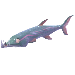 Lesser Snakehead