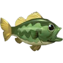 Largemouth Bass