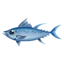 Bluefin Tuna