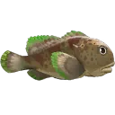 Stonefish