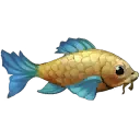 Crucian Carp