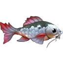Kenli's Carp