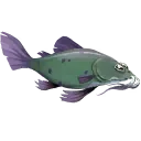 Channel Catfish