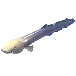 Enfield Eel
