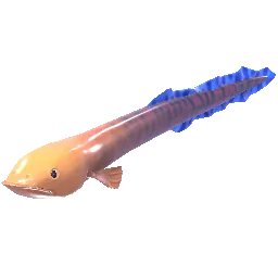 Amber Moray