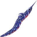 Swordfin Eel