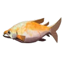 Golden Salmon