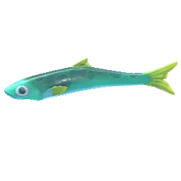 Green Anchovy