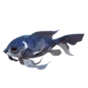 Cantankerous Koi