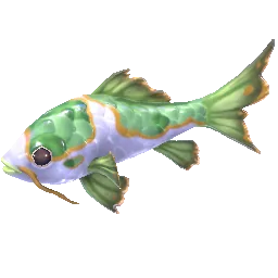 Jade Koi