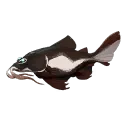 Kilima Catfish
