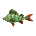 Kilima Redfin