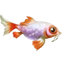 Giant Goldfish