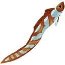 Hypnotic Moray