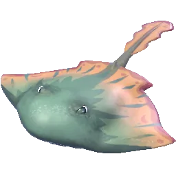 Muddy Manta