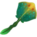Giant Kilima Stingray