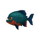 Red-bellied Piranha