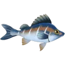 Kilima Grayling