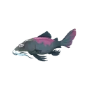 Rosy Bitterling