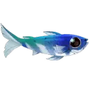 Cloudfish