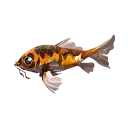 Scarlet Koi