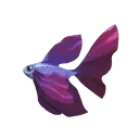 Shimmerfin