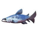 Silver Salmon