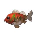 Smallmouth Bass