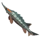 Striped Sturgeon